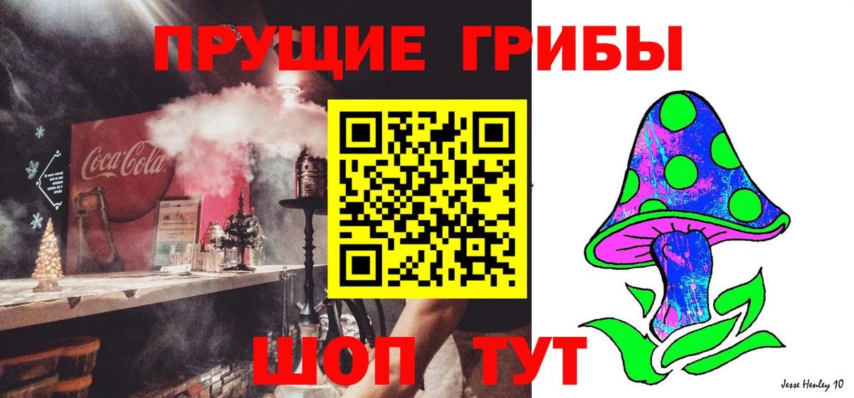 Псилоцибиновые грибы Psilocybe Новороссийск